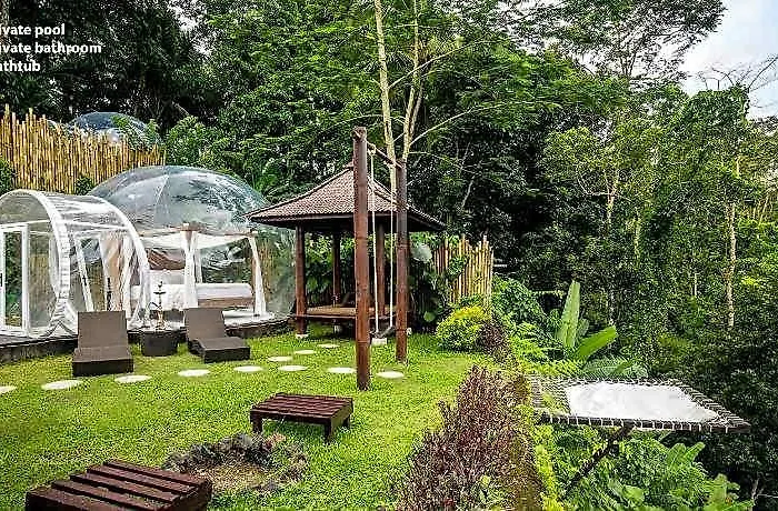 Bubble Ubud (adults Only) BALI
