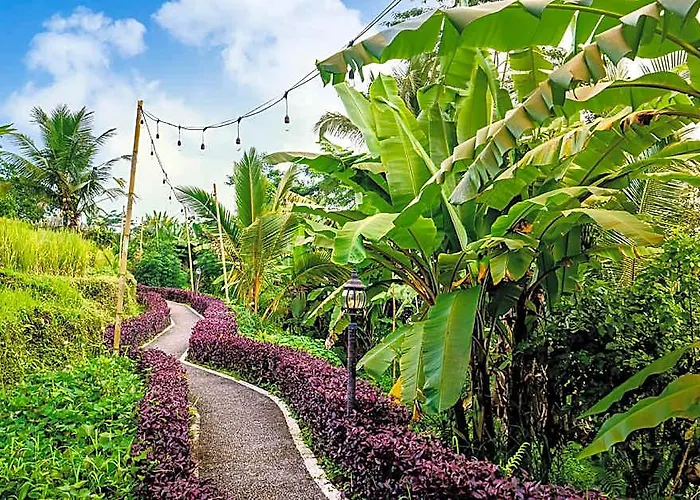 Bubble Ubud (adults Only)
