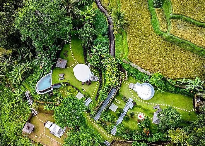 Bubble Ubud (adults Only) Hotel