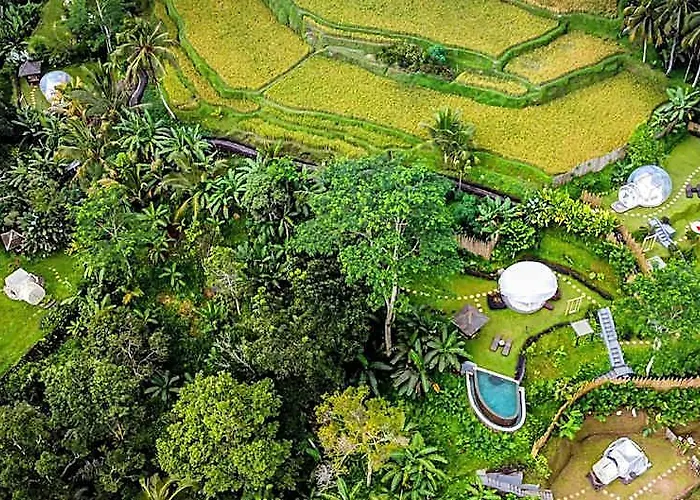 Bubble Ubud (adults Only)
